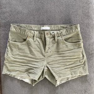 Carve Designs Oahu Shorts